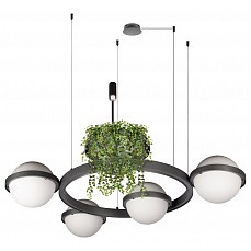 Подвесная люстра loft it jardin 101...